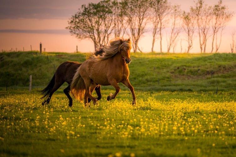 Country house Smaratun &